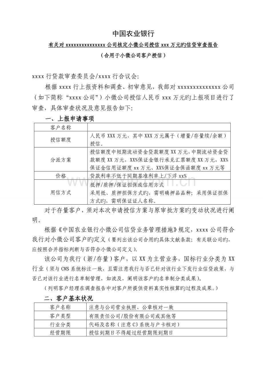 小企业授信审查报告范本.doc_第1页