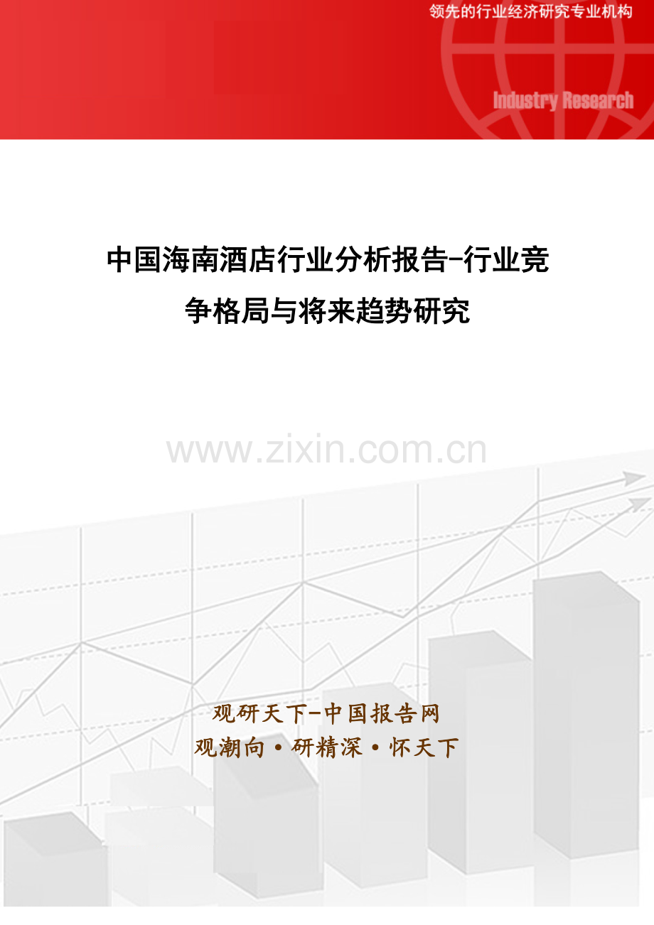 中国海南酒店行业分析报告-行业竞争格局与未来趋势研究.docx_第1页