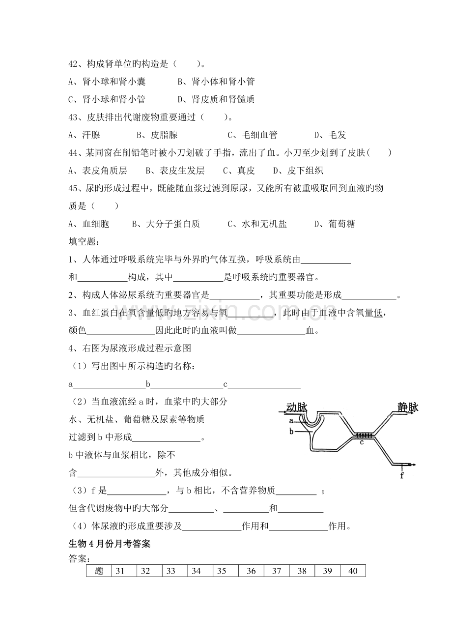 北师大版生物七年级下册月考试卷及答案.doc_第2页