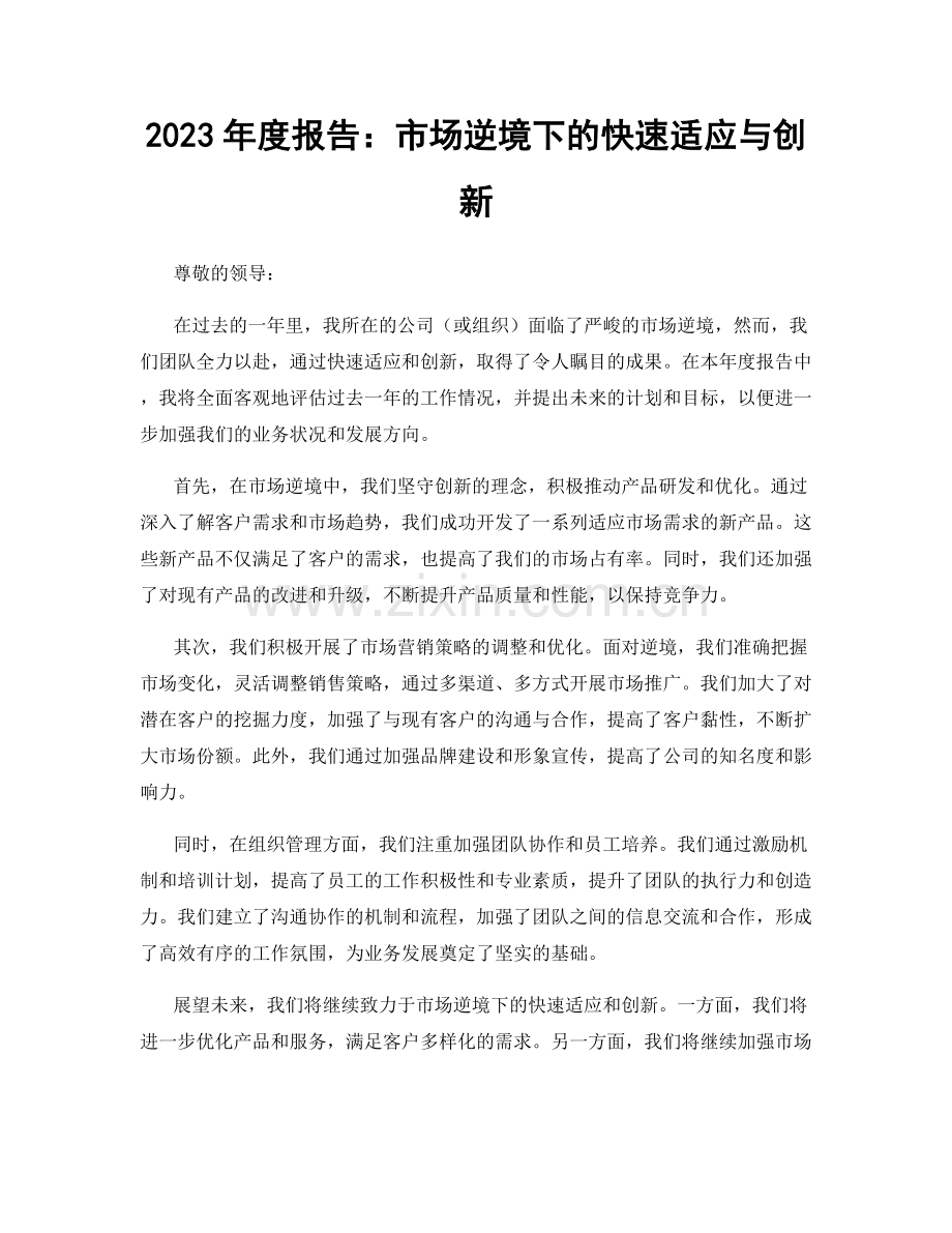 2023年度报告：市场逆境下的快速适应与创新.docx_第1页