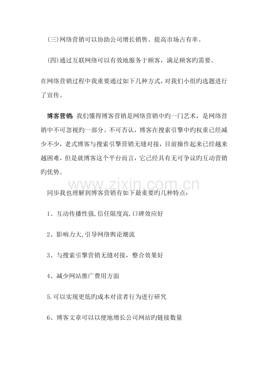 网络营销个人总结.doc_第2页