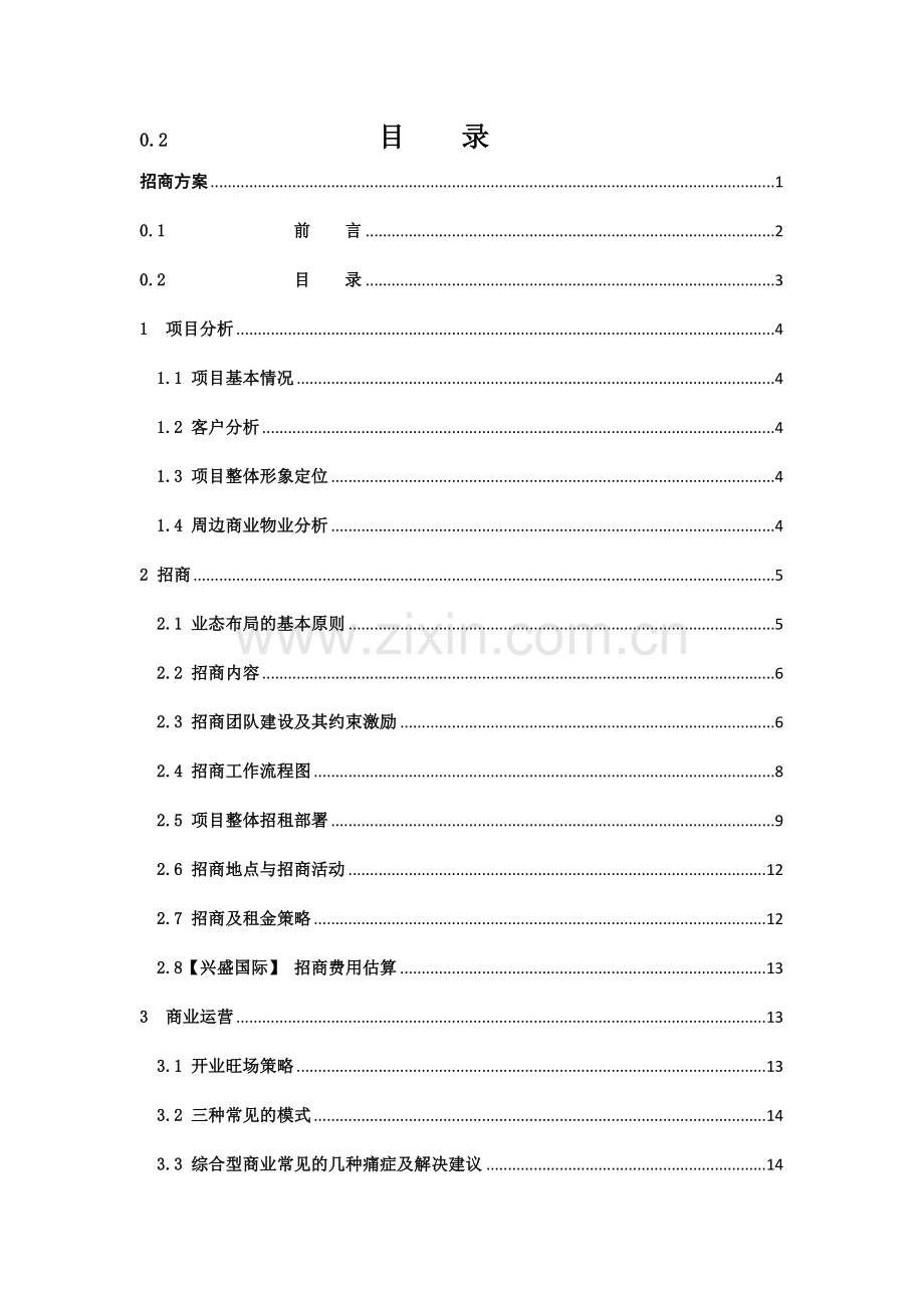 兴盛国际商业地产招商方案.doc_第3页