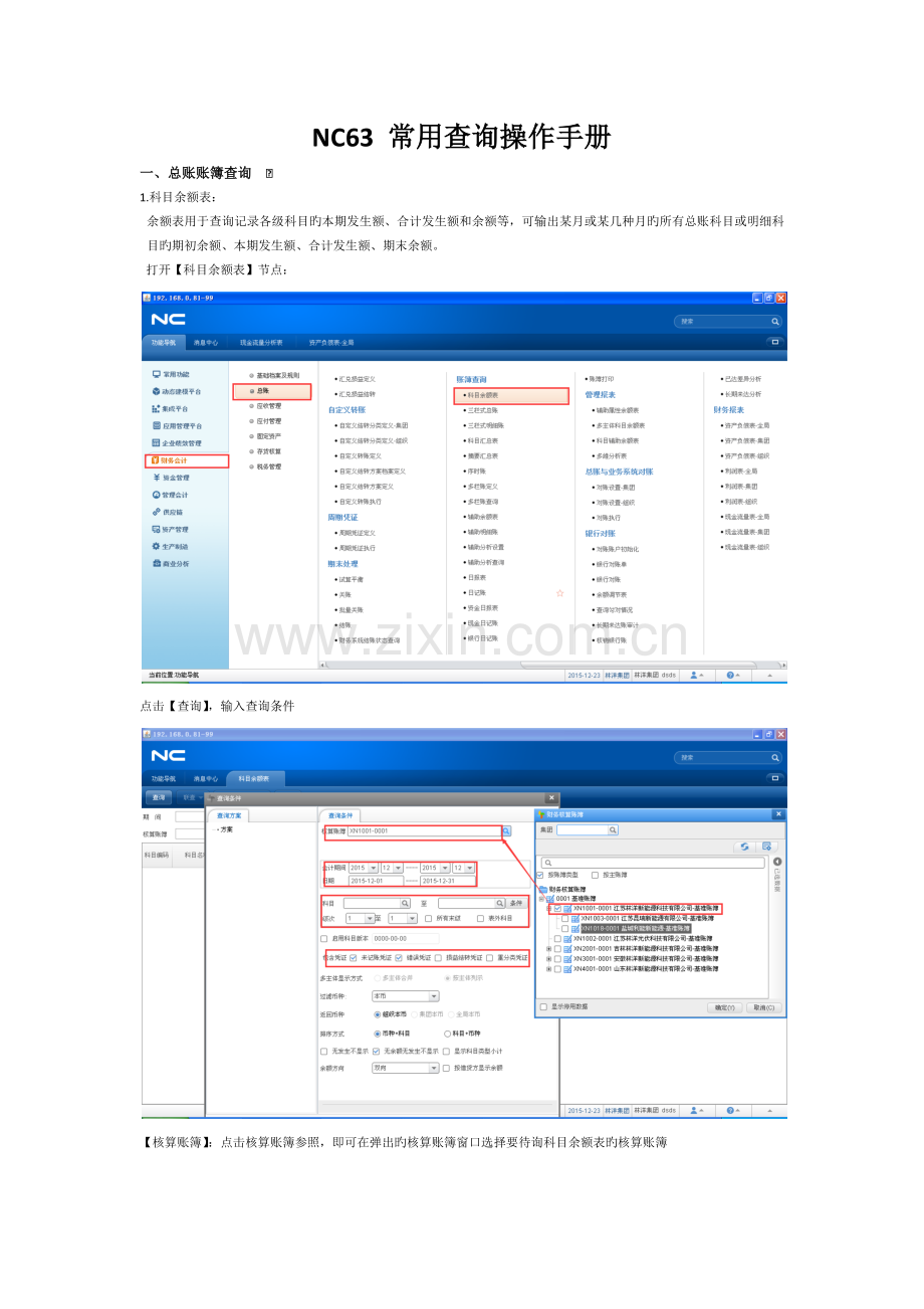 NC63常用查询操作手册.docx_第1页