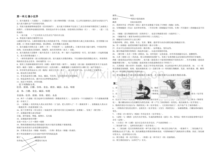 人教六年级下册科学复习资料.docx_第1页