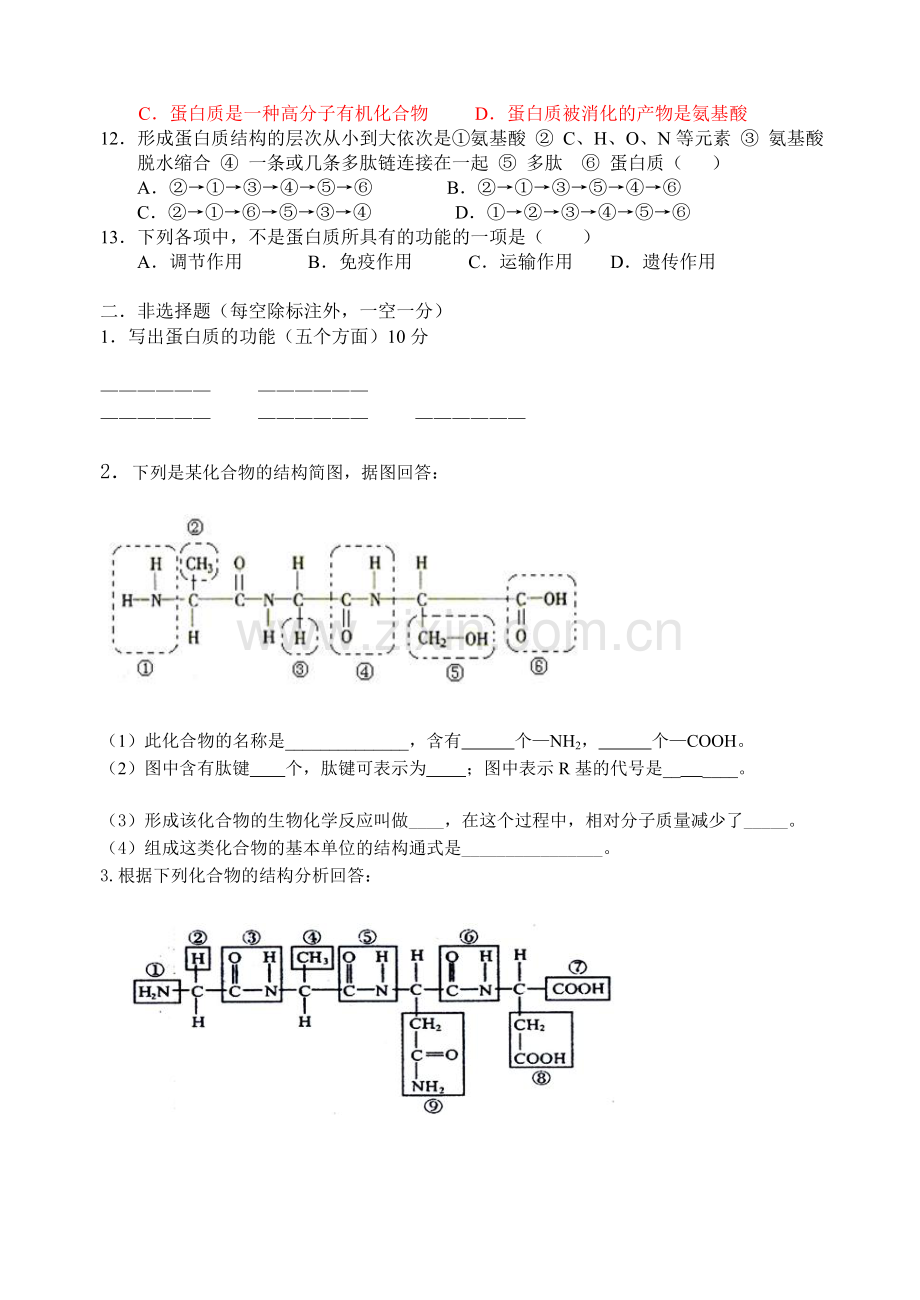 高一生物蛋白质练习题.doc_第2页