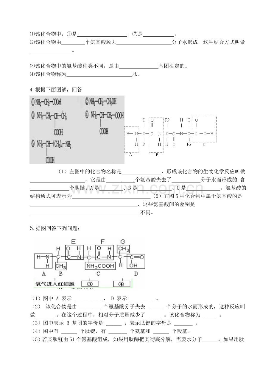 高一生物蛋白质练习题.doc_第3页