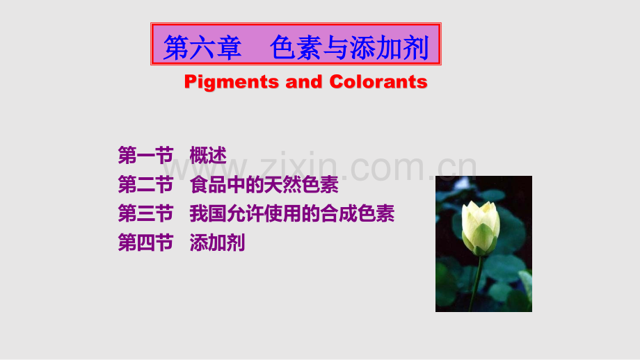 食品化学添加剂全解学习PPT教案.pptx_第1页