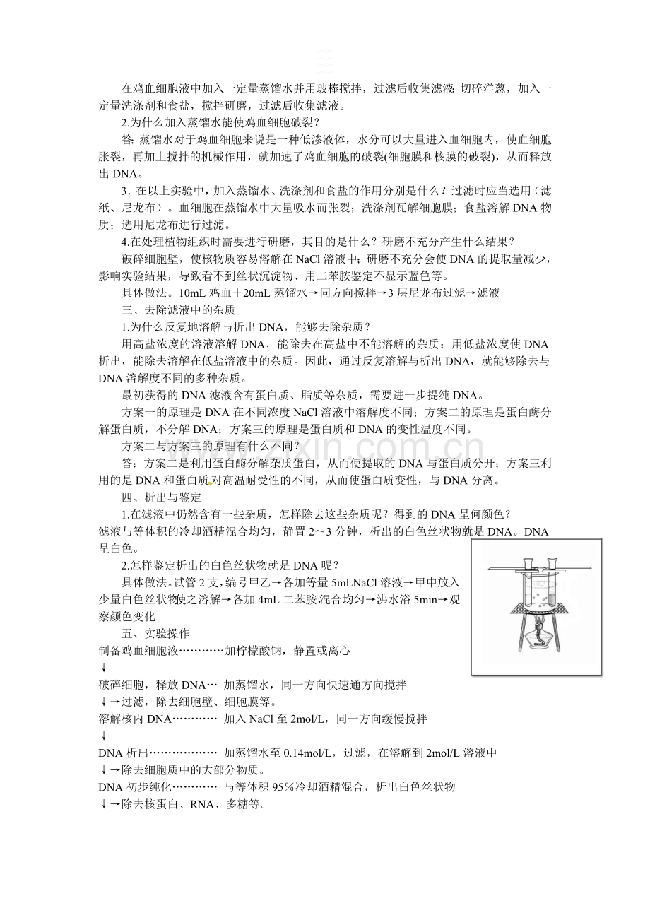 人教版高中生物选修一专题五《DNA和蛋白质技术》知识点归纳.doc_第2页