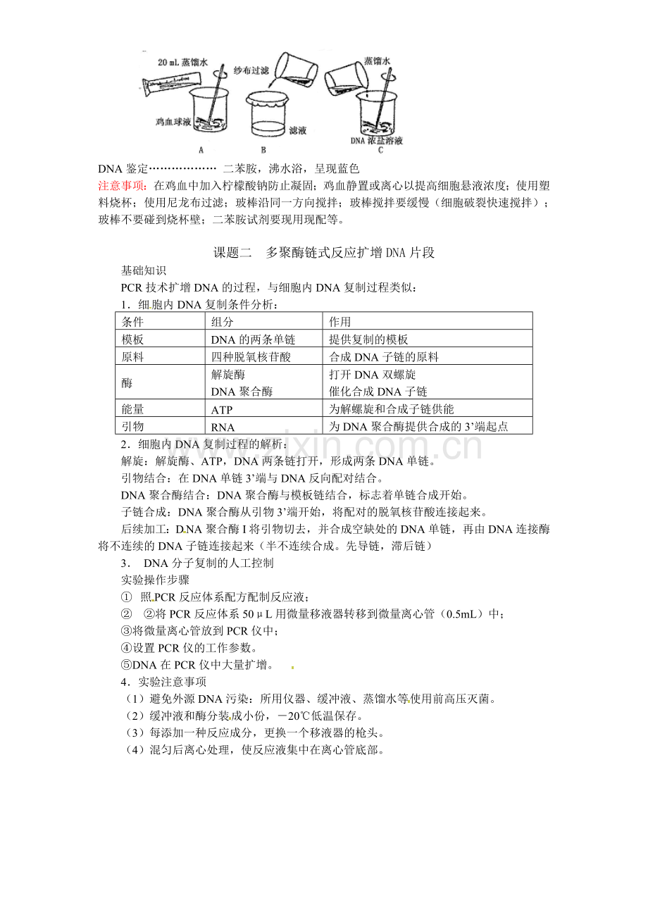 人教版高中生物选修一专题五《DNA和蛋白质技术》知识点归纳.doc_第3页