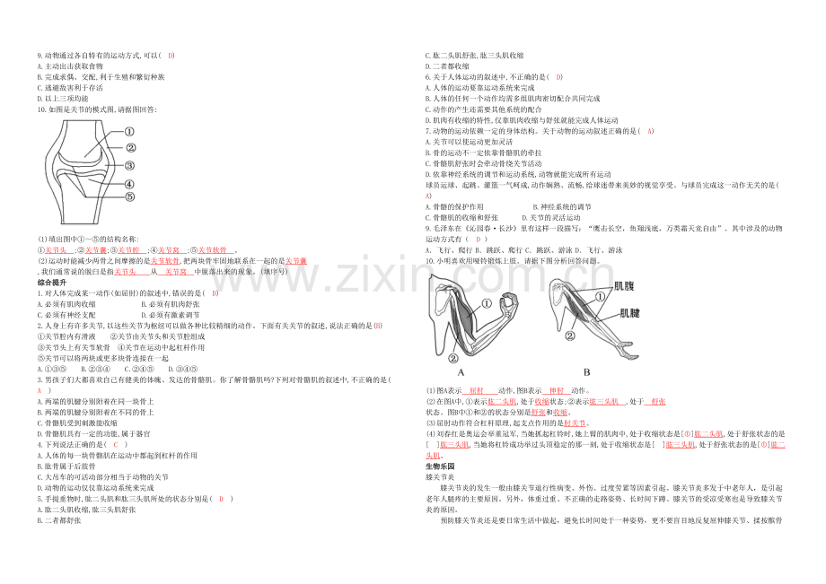 人教生物八年级上册动物的运动和行为.docx_第2页