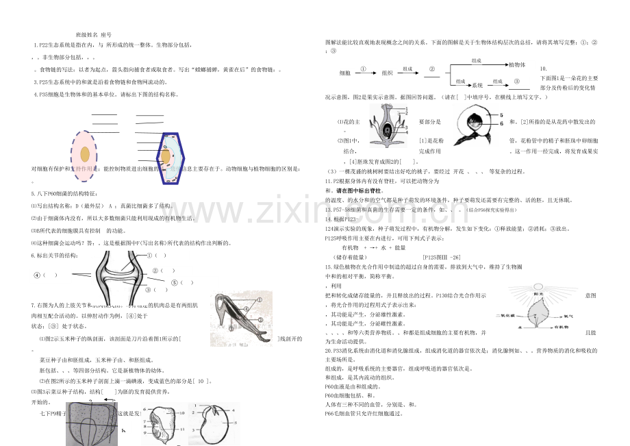 八年级试题练习四册归纳填空六综合题部分答案.docx_第1页