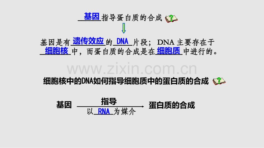 生物必修人教新课标上海市同步张学习PPT教案.pptx_第2页