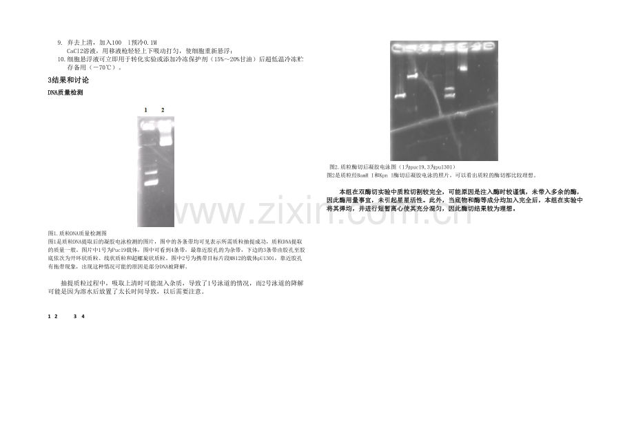 分子克隆.docx_第3页