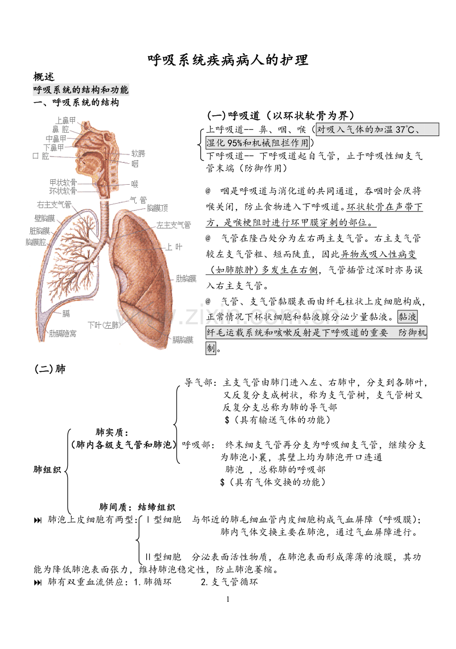 内科护理学笔记(呼吸系统).doc_第1页