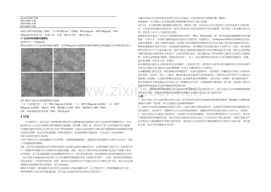 BB外周血单核细胞对人类白血病U细胞的.docx_第3页