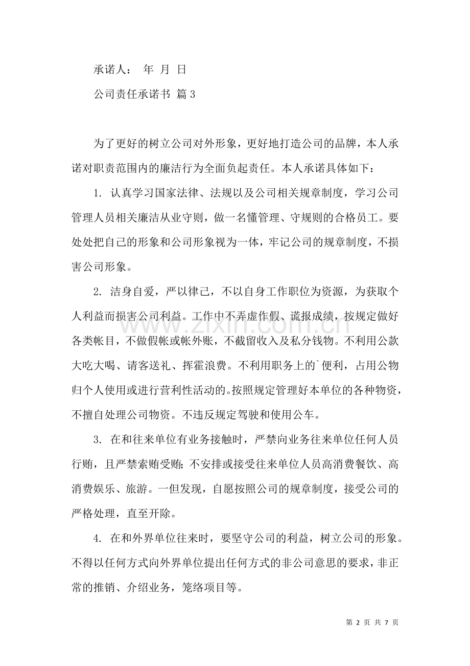 公司责任承诺书模板合集5篇.docx_第2页