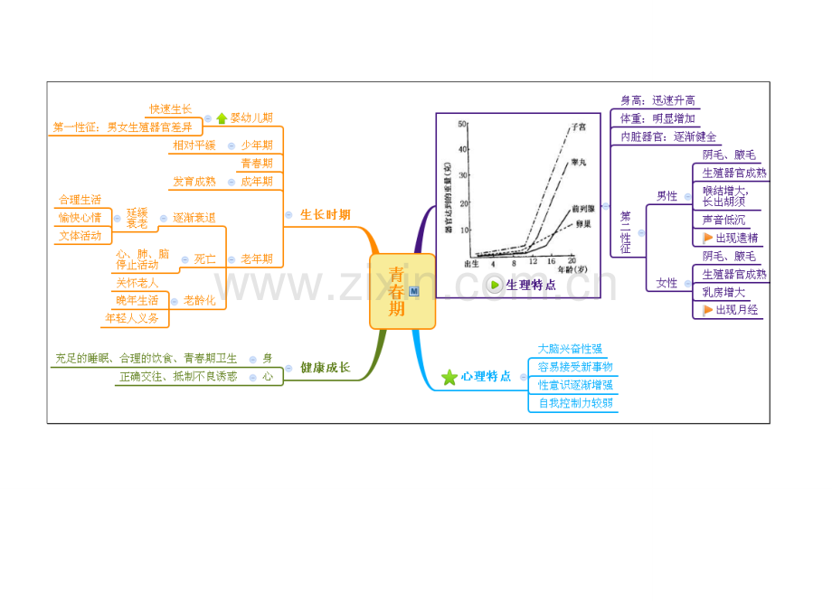 科学七下第一章-代代相传得生命-思维导图.doc_第3页