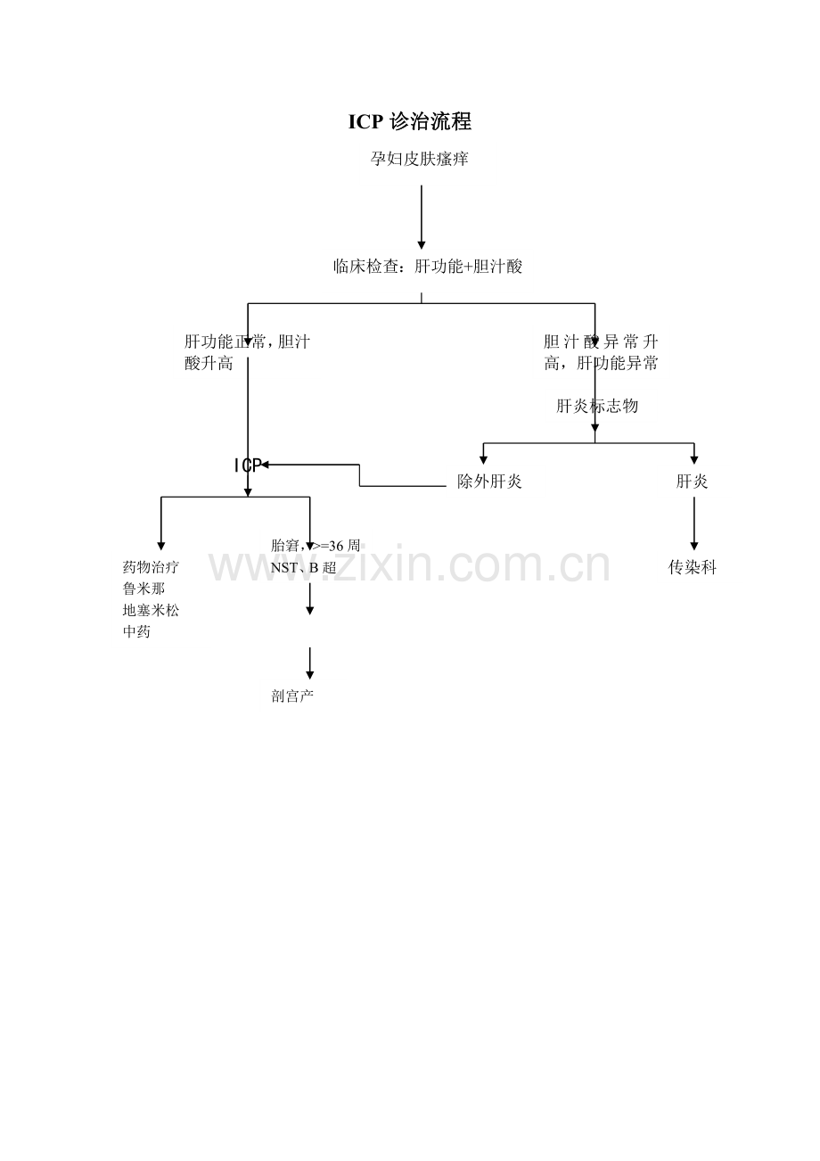 上海红房子医院产科诊治流程.doc_第1页