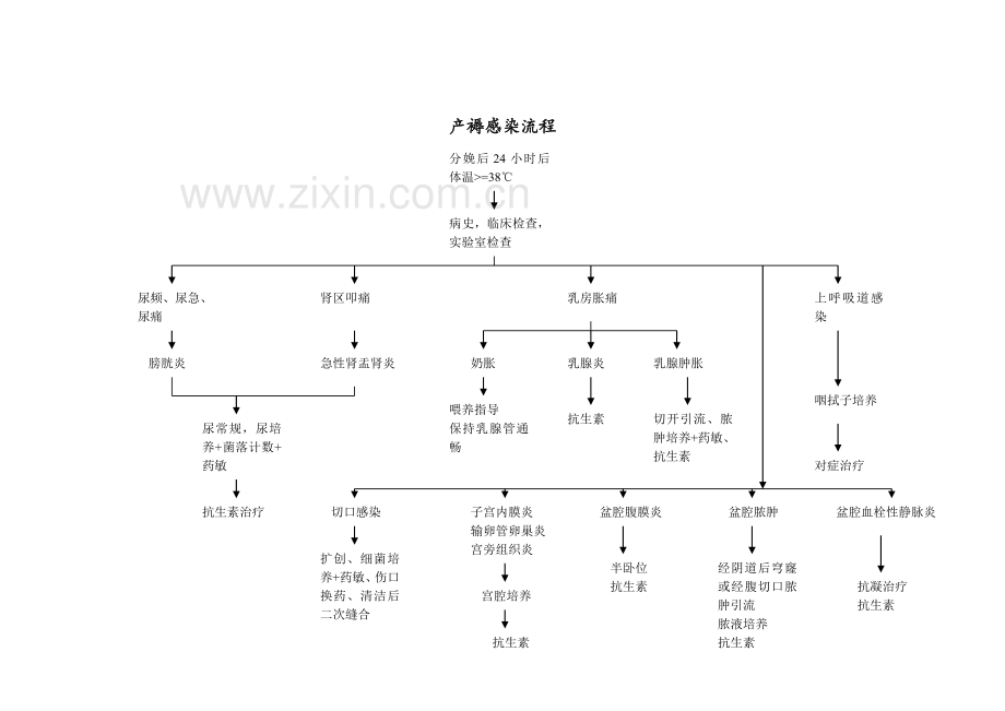 上海红房子医院产科诊治流程.doc_第2页