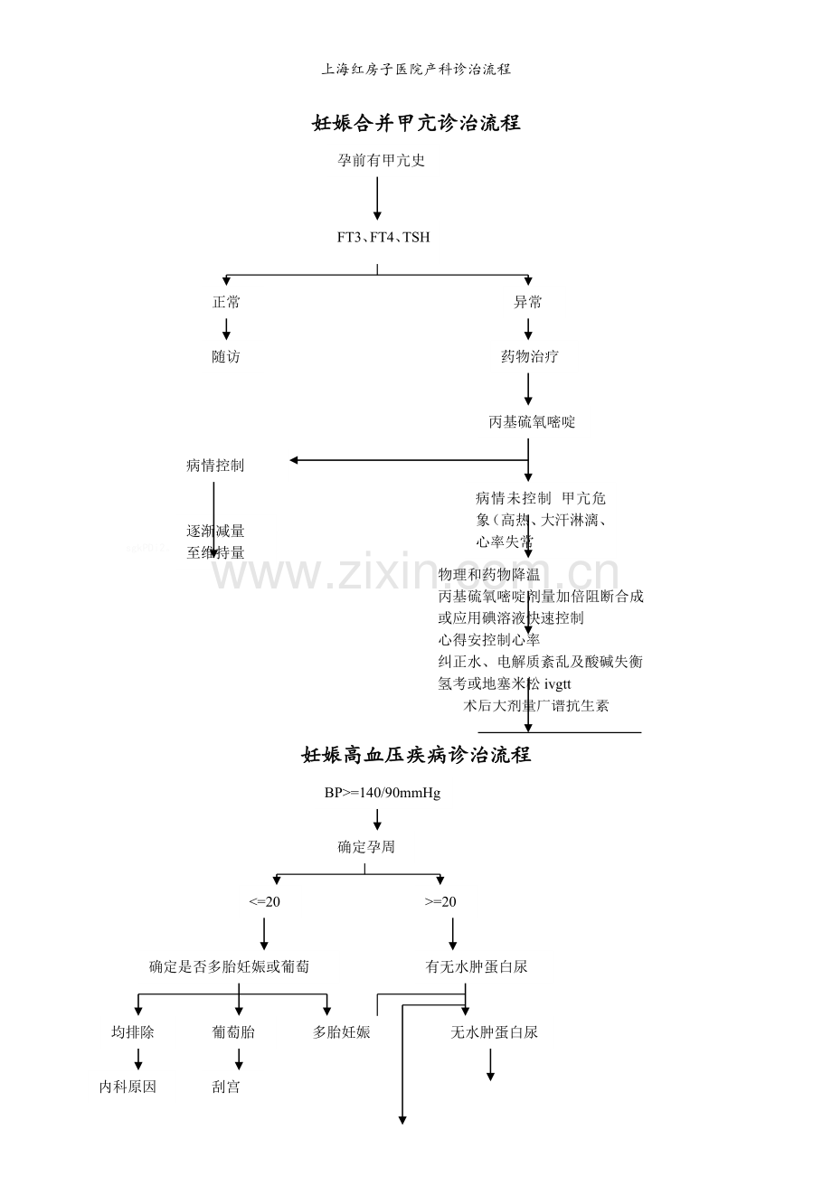 上海红房子医院产科诊治流程.doc_第3页