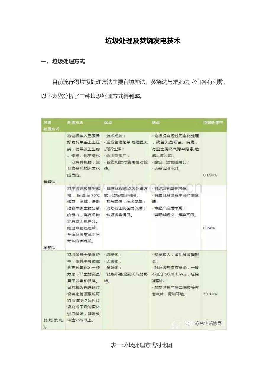 垃圾处理技术.doc_第1页