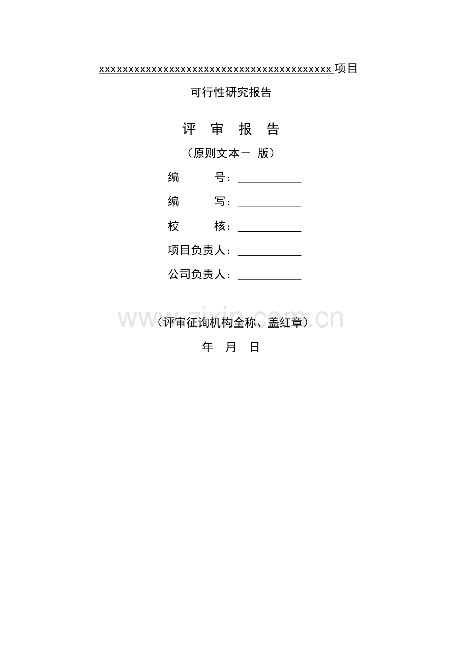 可行性研究报告评审报告.docx_第1页