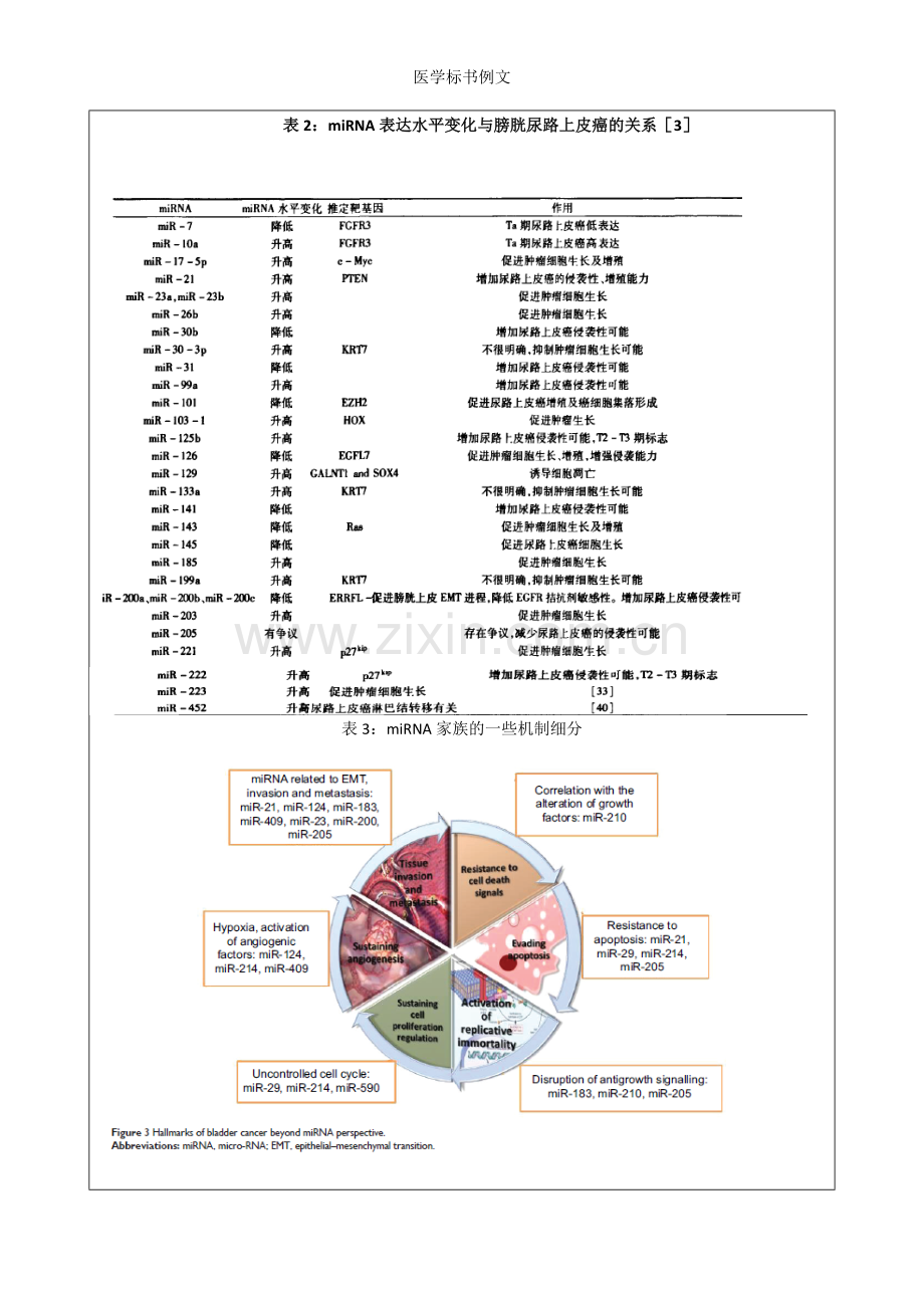 医学标书例文.doc_第3页