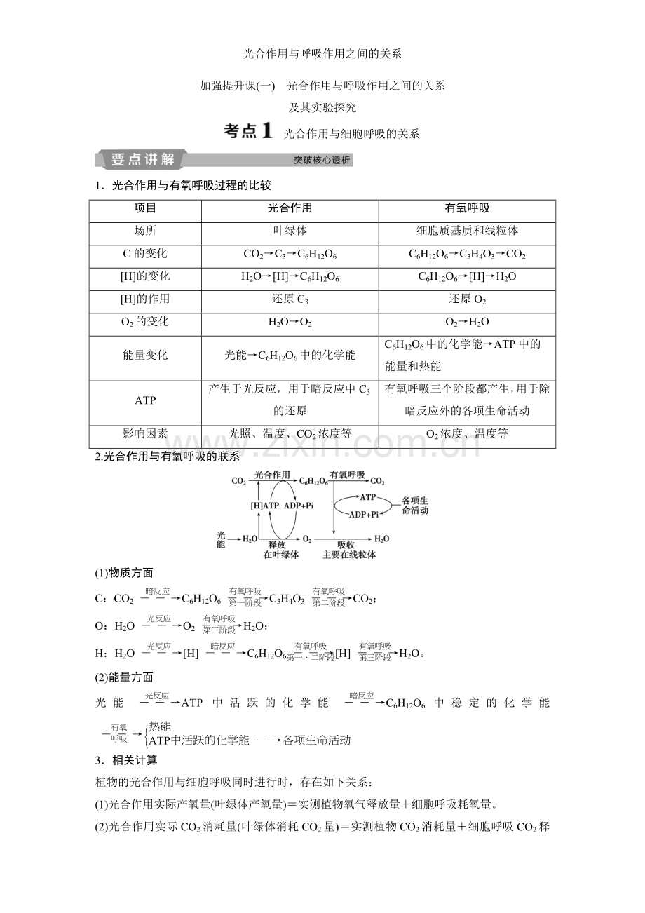 光合作用与呼吸作用之间的关系.doc_第1页