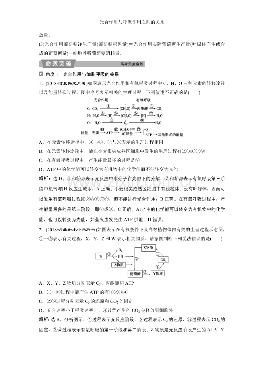 光合作用与呼吸作用之间的关系.doc_第2页