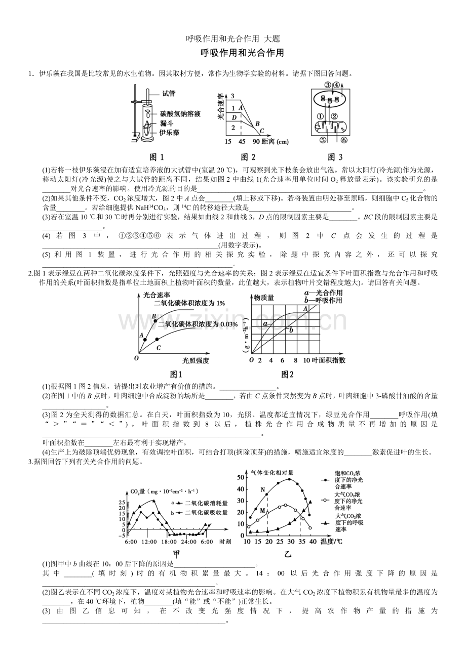 呼吸作用和光合作用-大题.doc_第1页