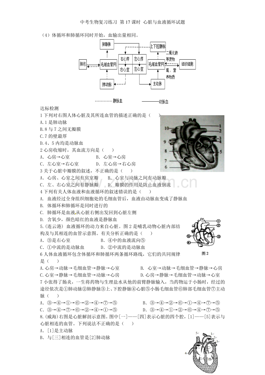 中考生物复习练习-第17课时-心脏与血液循环试题.doc_第2页