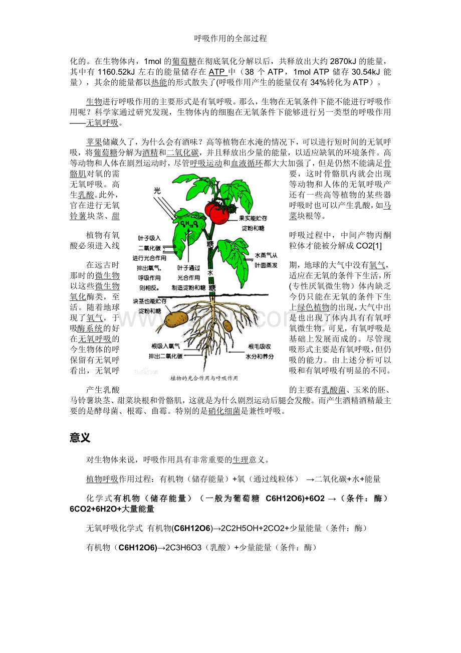 呼吸作用的全部过程.doc_第2页