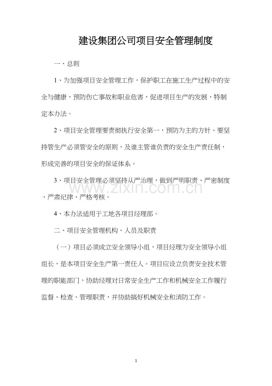 建设集团公司项目安全管理制度.docx_第1页