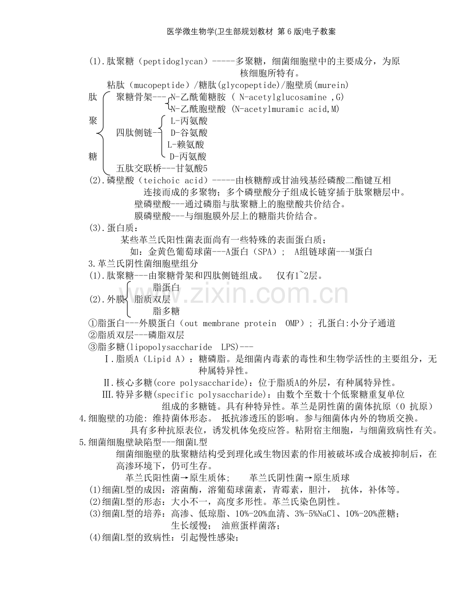 医学微生物学(卫生部规划教材-第6版)电子教案.doc_第3页