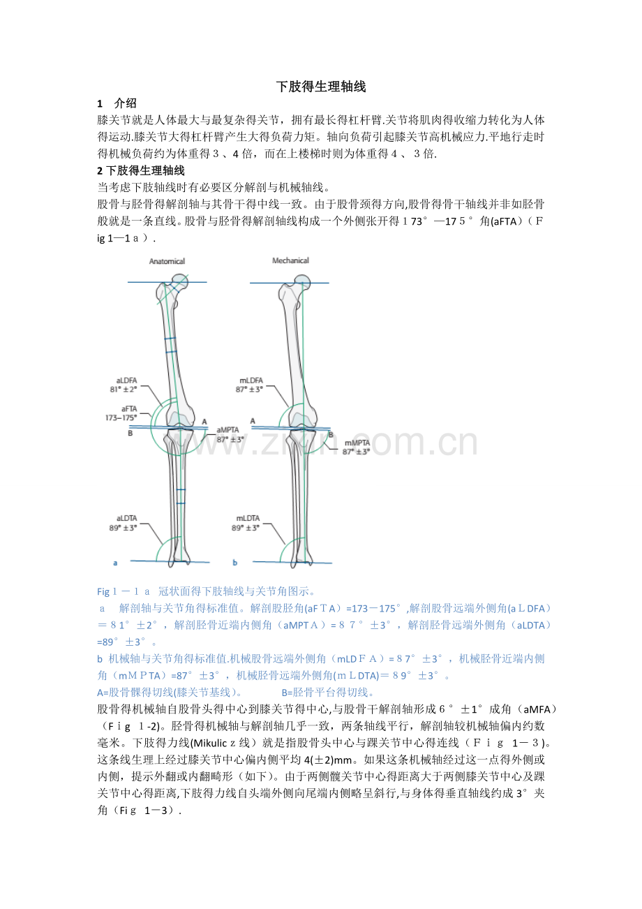 第1章-下肢的生理轴线.doc_第1页