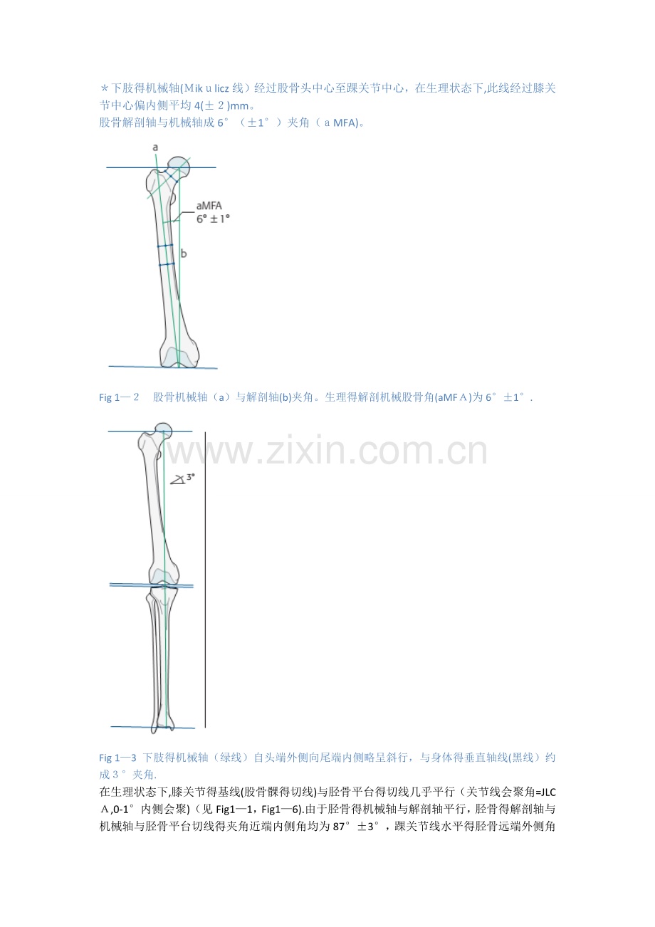 第1章-下肢的生理轴线.doc_第2页