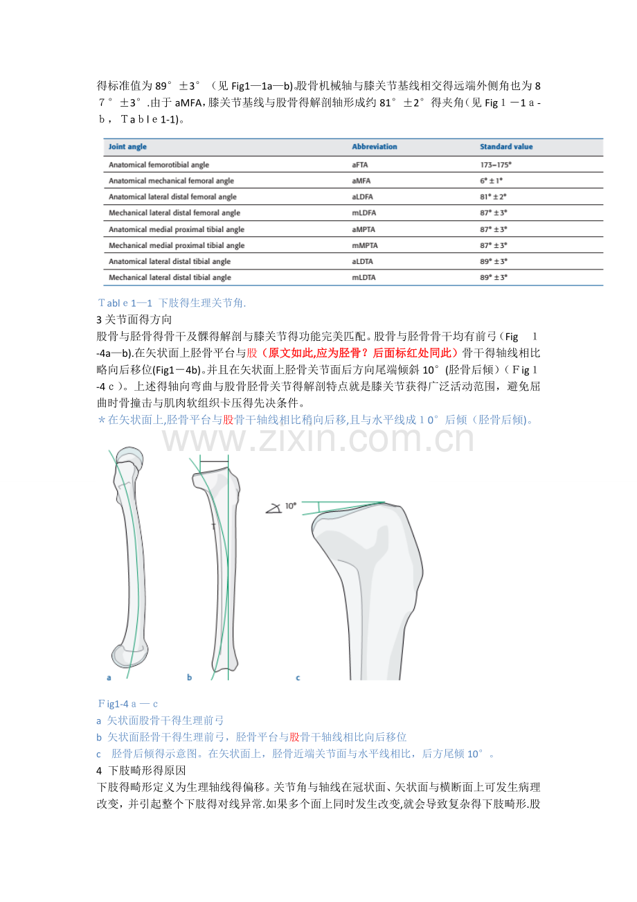 第1章-下肢的生理轴线.doc_第3页