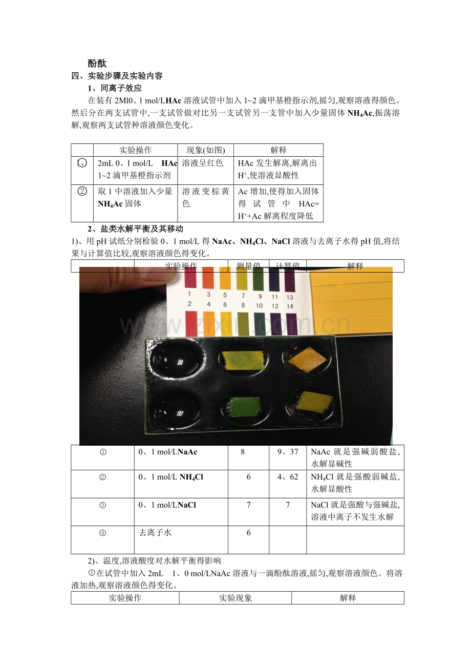 离解平衡实验报告及图片.doc_第2页