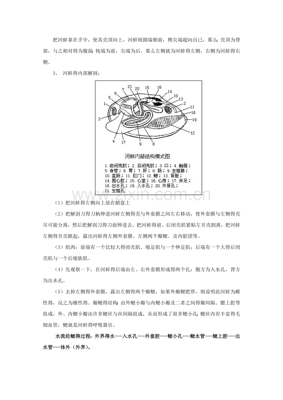 河蚌解剖观察.doc_第2页