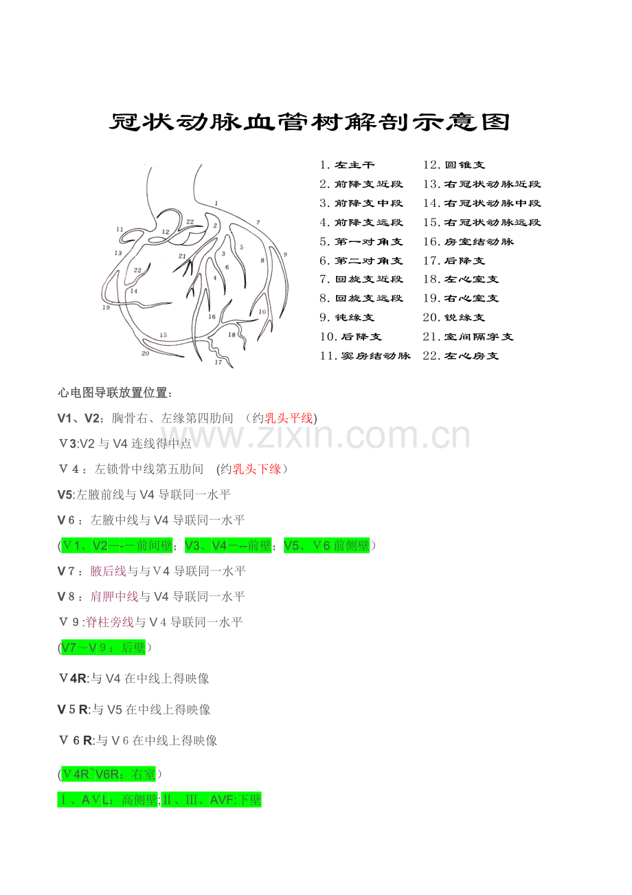 心电零基础1.doc_第1页