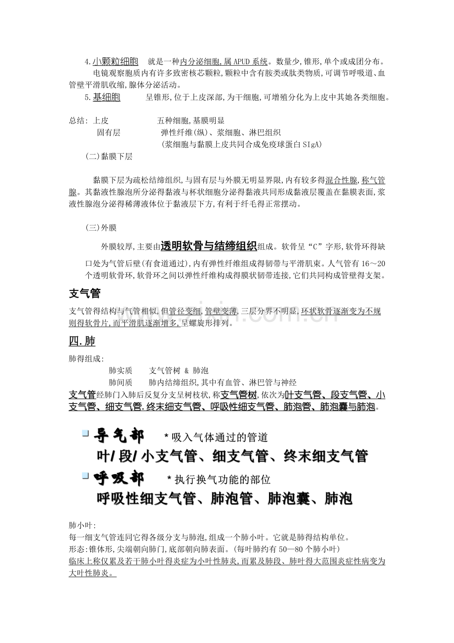 组织胚胎学总结-呼吸系统.doc_第3页