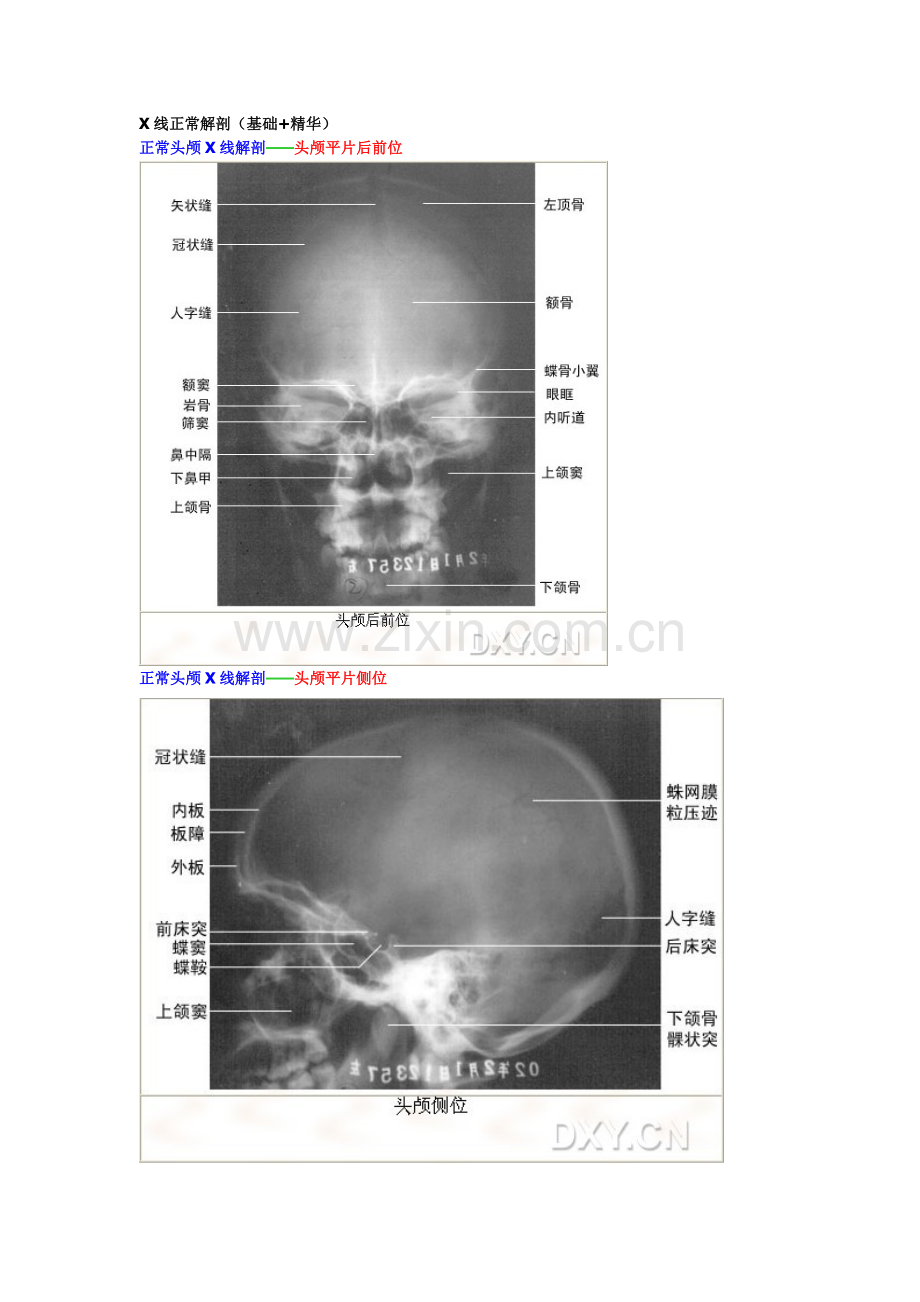 线正常解剖.doc_第1页