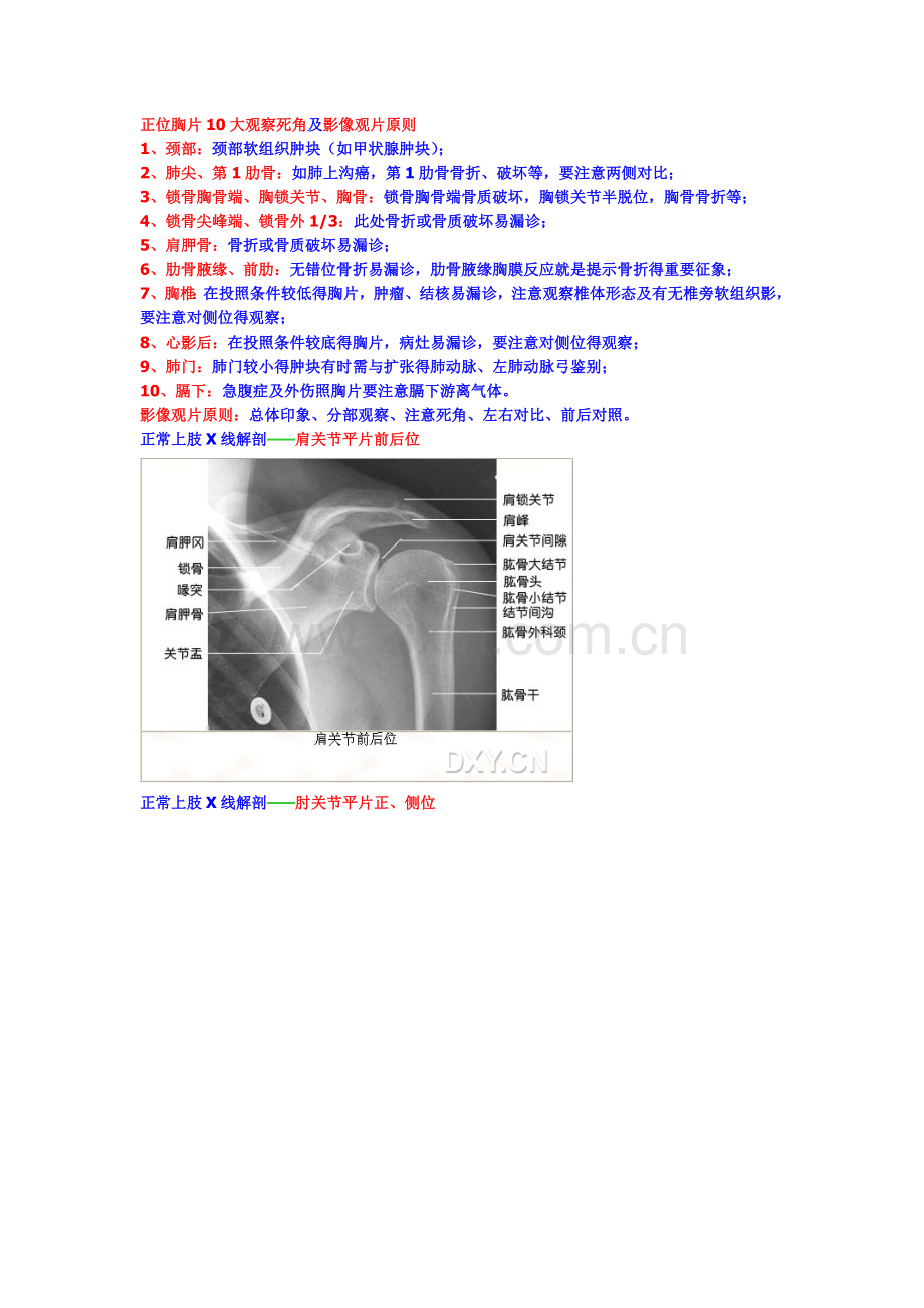 线正常解剖.doc_第3页