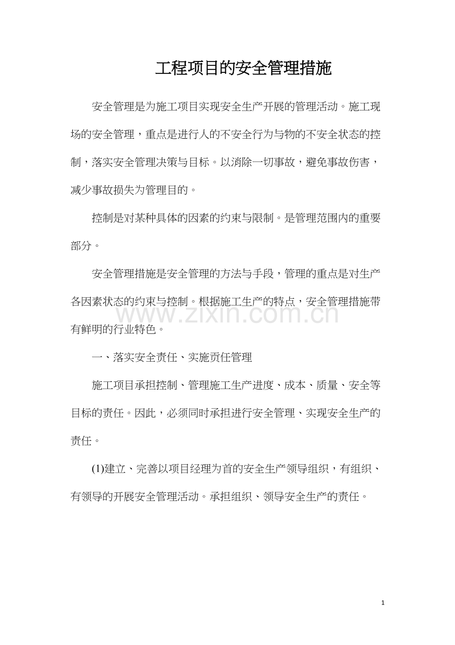 工程项目的安全管理措施.docx_第1页