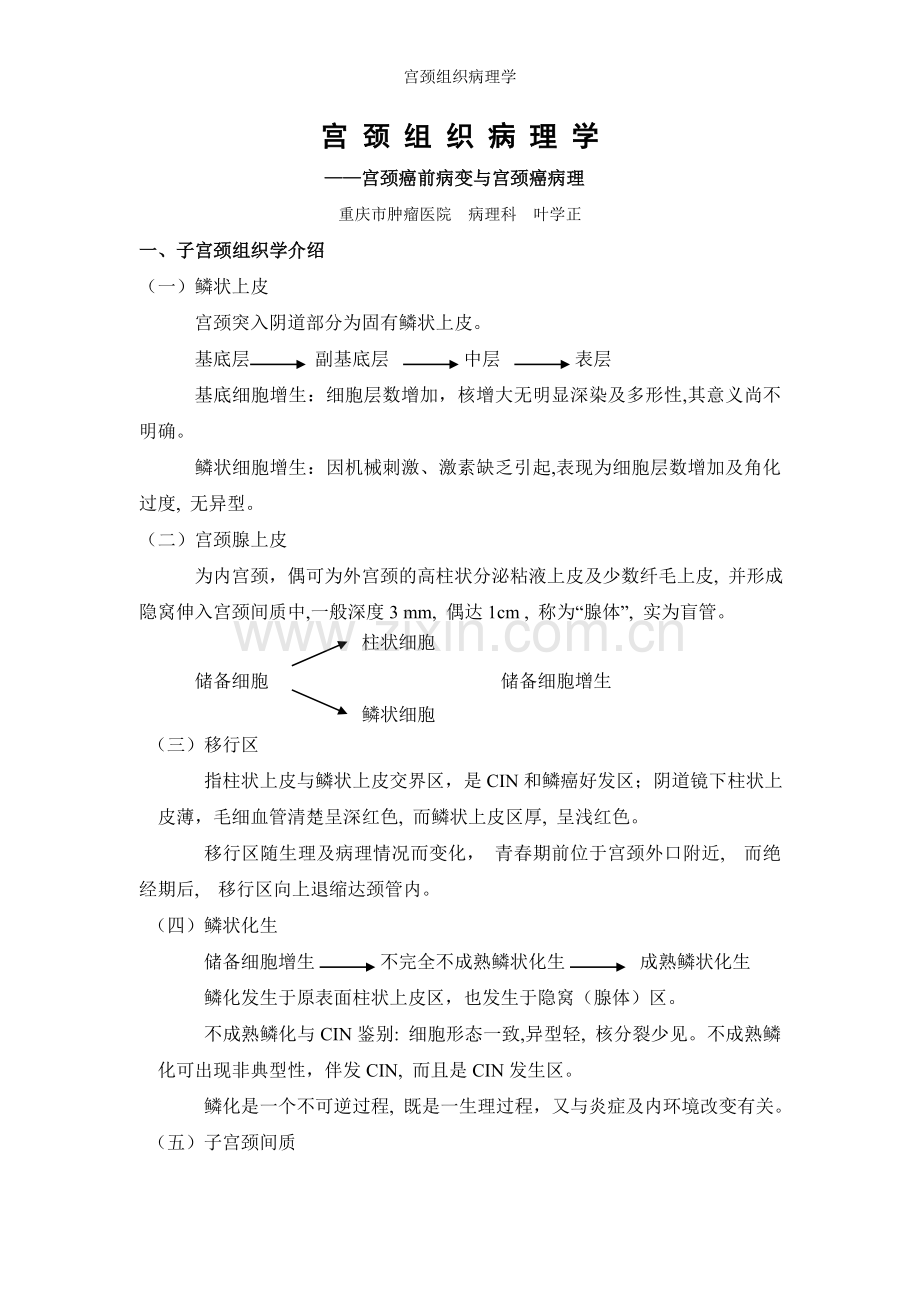 宫颈组织病理学.doc_第1页