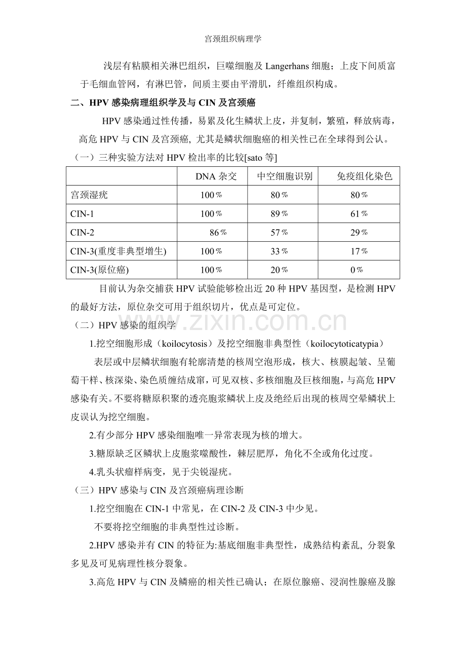 宫颈组织病理学.doc_第2页