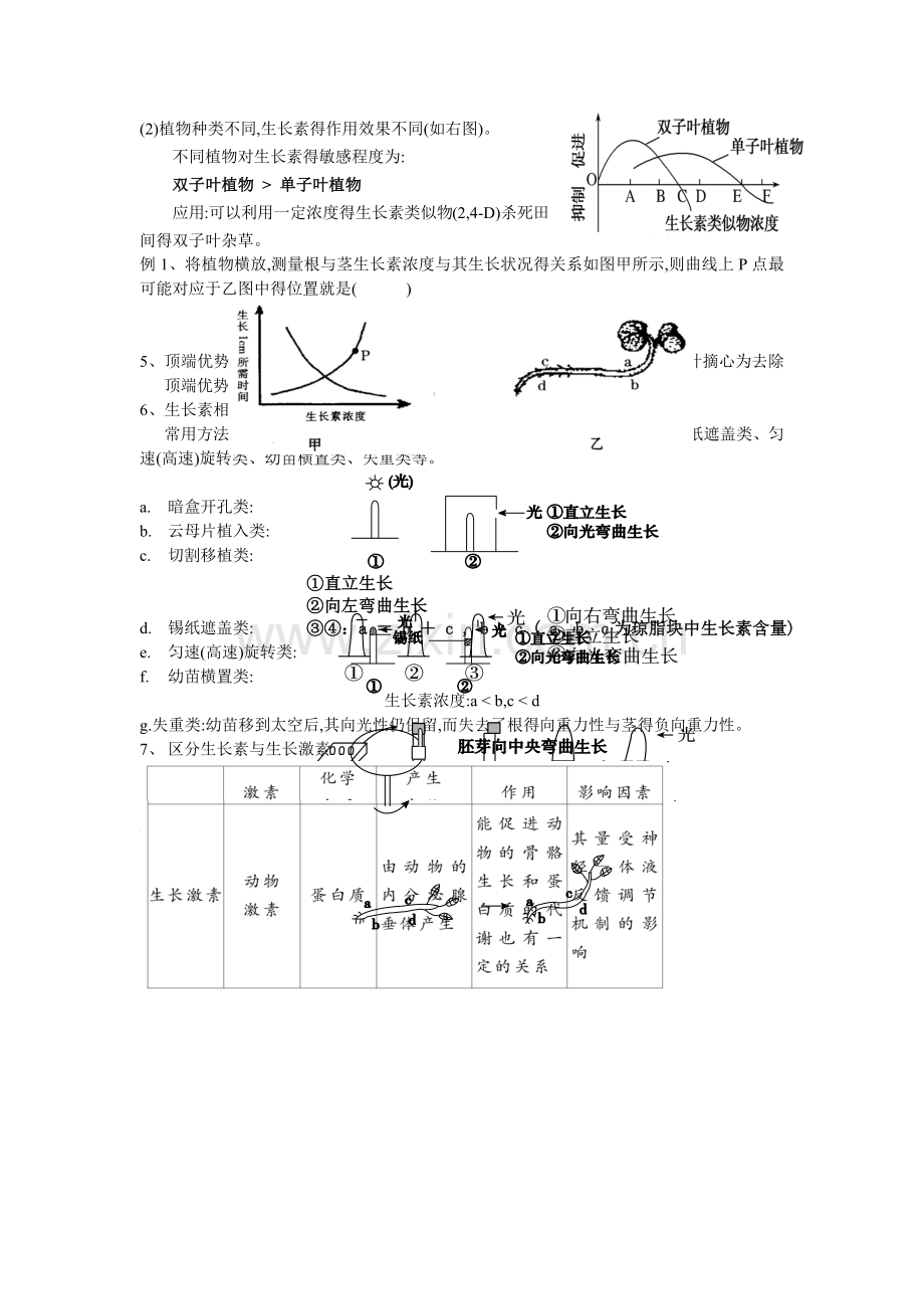 植物激素知识点总结.docx_第3页