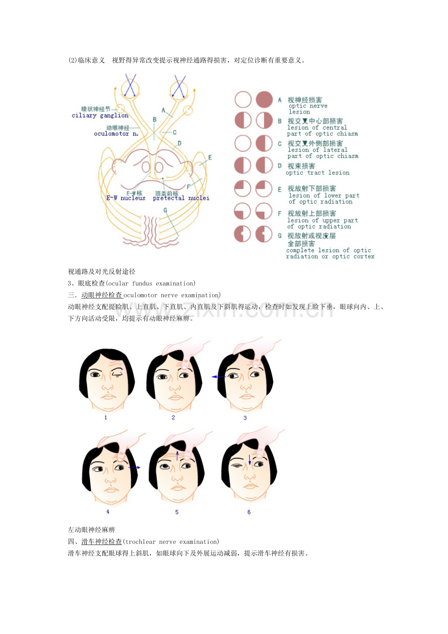 神经系统查体图文详解.doc_第3页