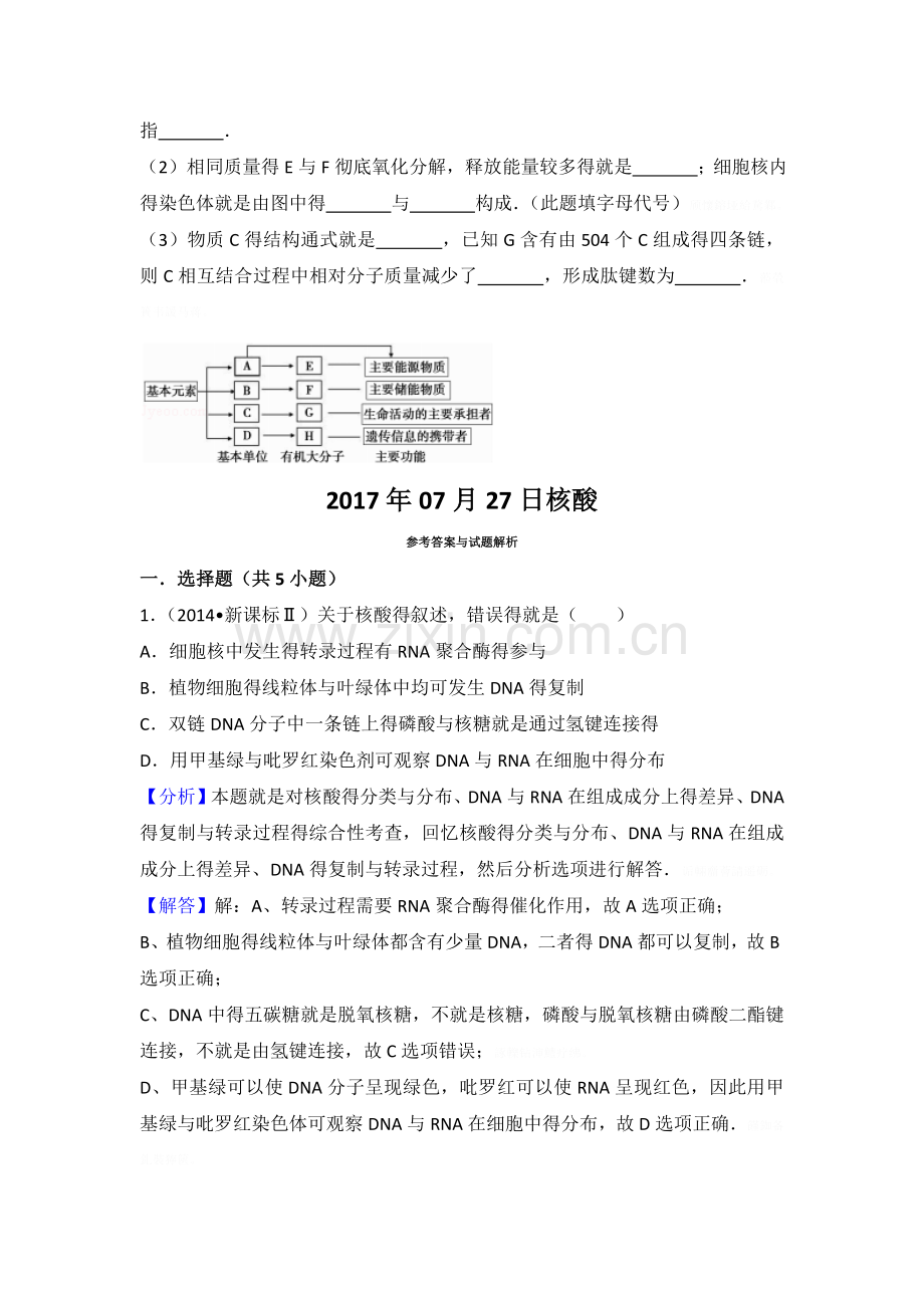 核酸练习题.doc_第2页