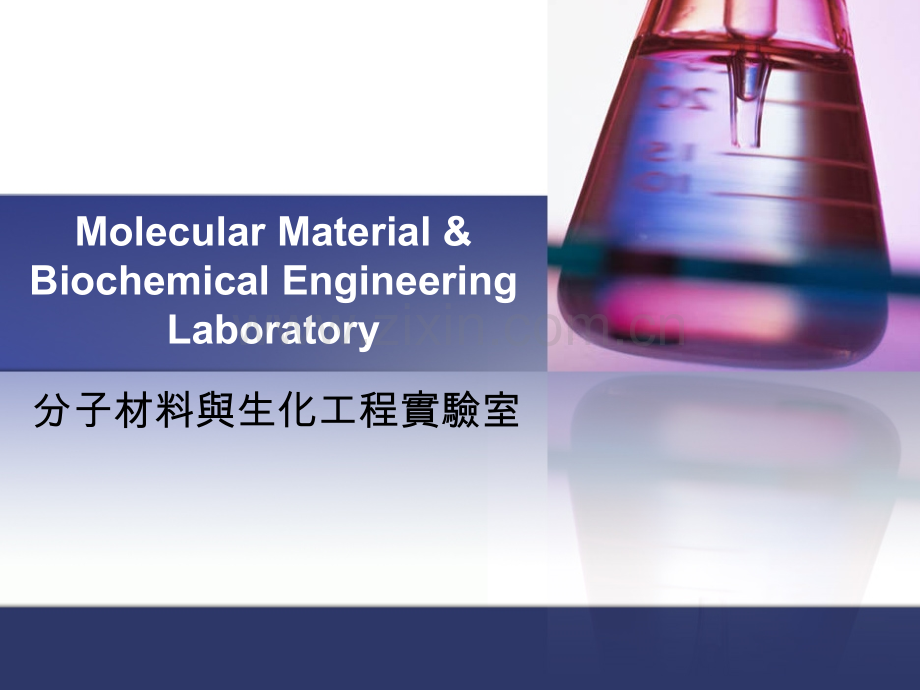 分子材料与生化工程实验室.ppt_第1页